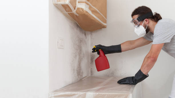 Professional Crawl Space Mold Remediation technician working in Somerville, TX