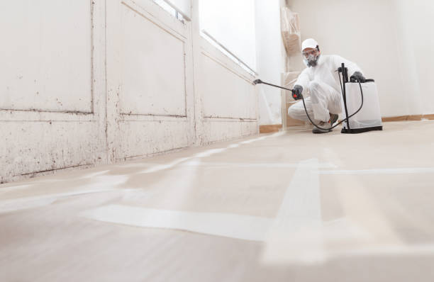 24/7 Emergency Crawl Space Mold Remediation experts in Somerville, TX