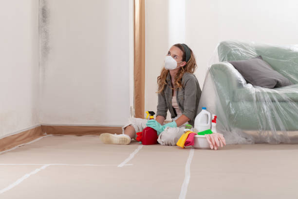 Reliable Crawl Space Mold Remediation contractor in Somerville, TX by 24 Hour Mold Removal